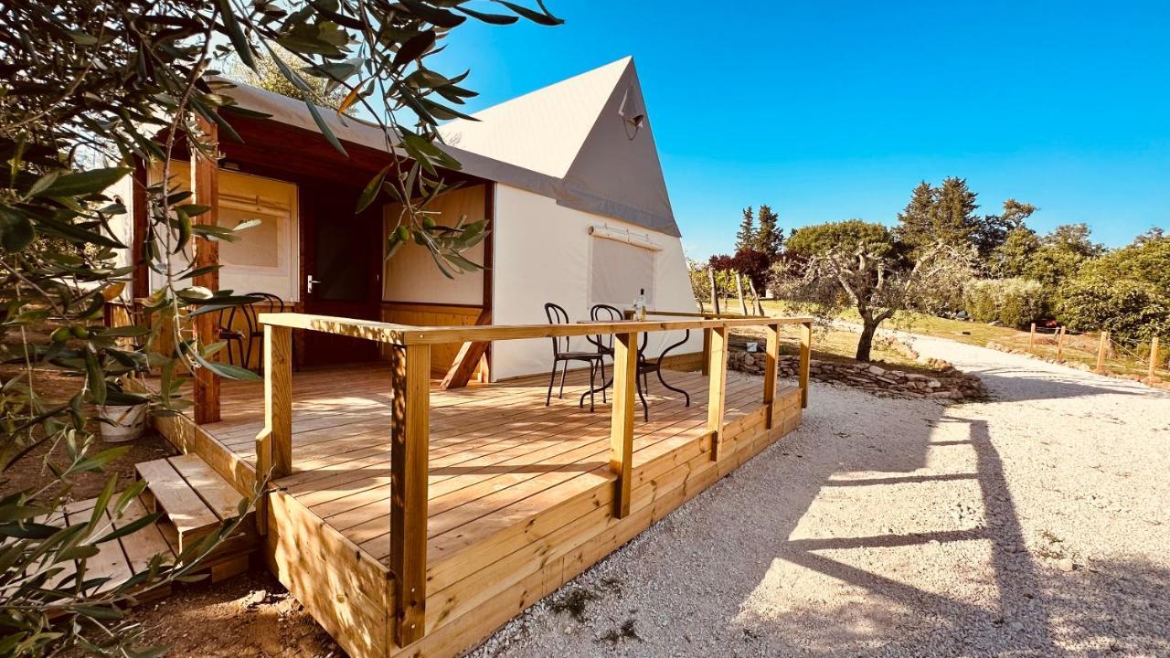 I Sicomori - Seme Di Carota - Glamping E Appartamenti Con Piscina A Saturnia Exteriér fotografie