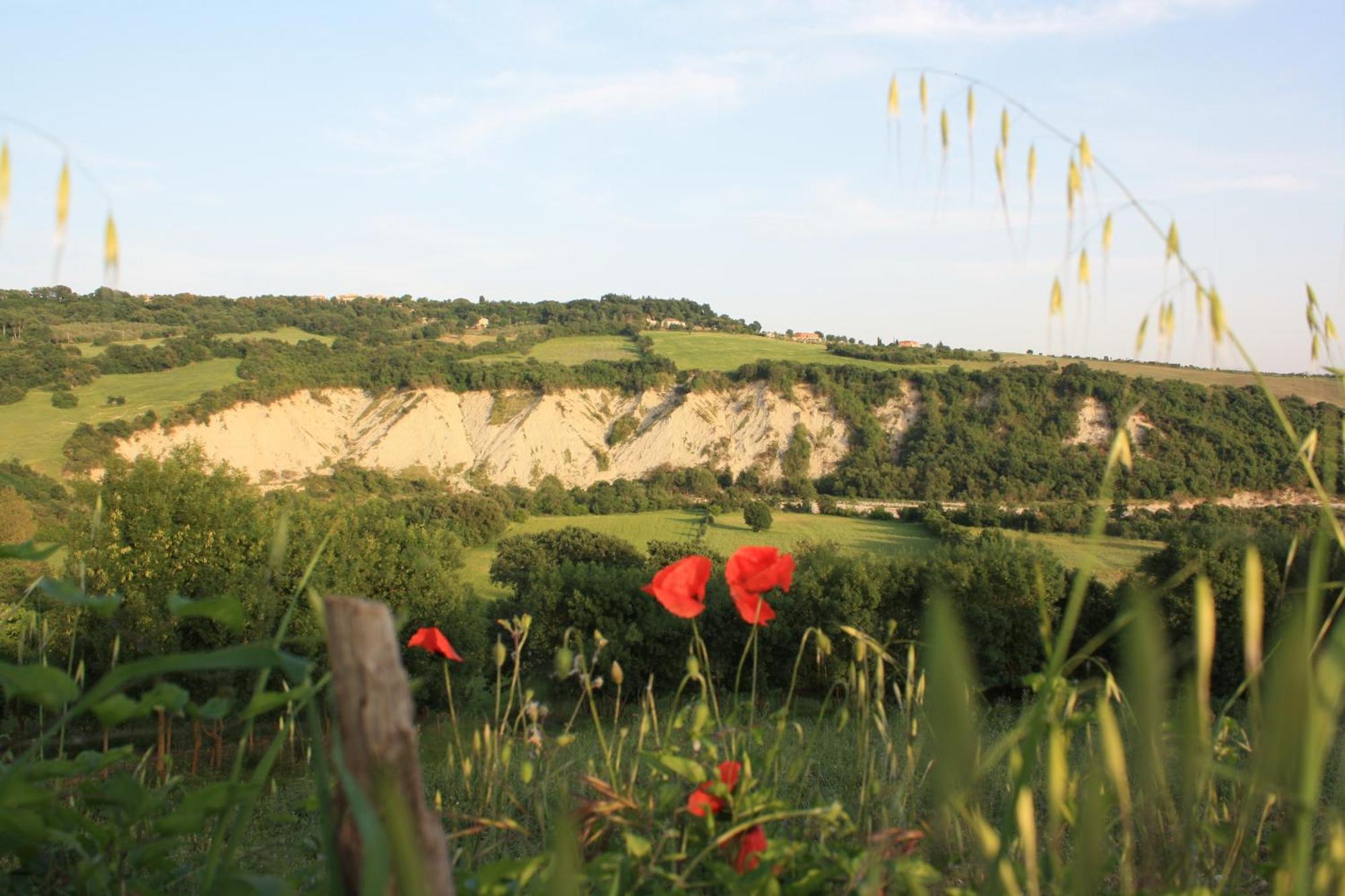 I Sicomori - Seme Di Carota - Glamping E Appartamenti Con Piscina A Saturnia Exteriér fotografie