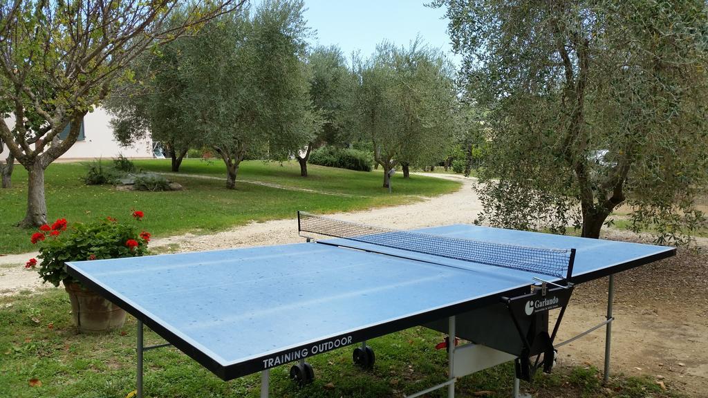 I Sicomori - Seme Di Carota - Glamping E Appartamenti Con Piscina A Saturnia Exteriér fotografie