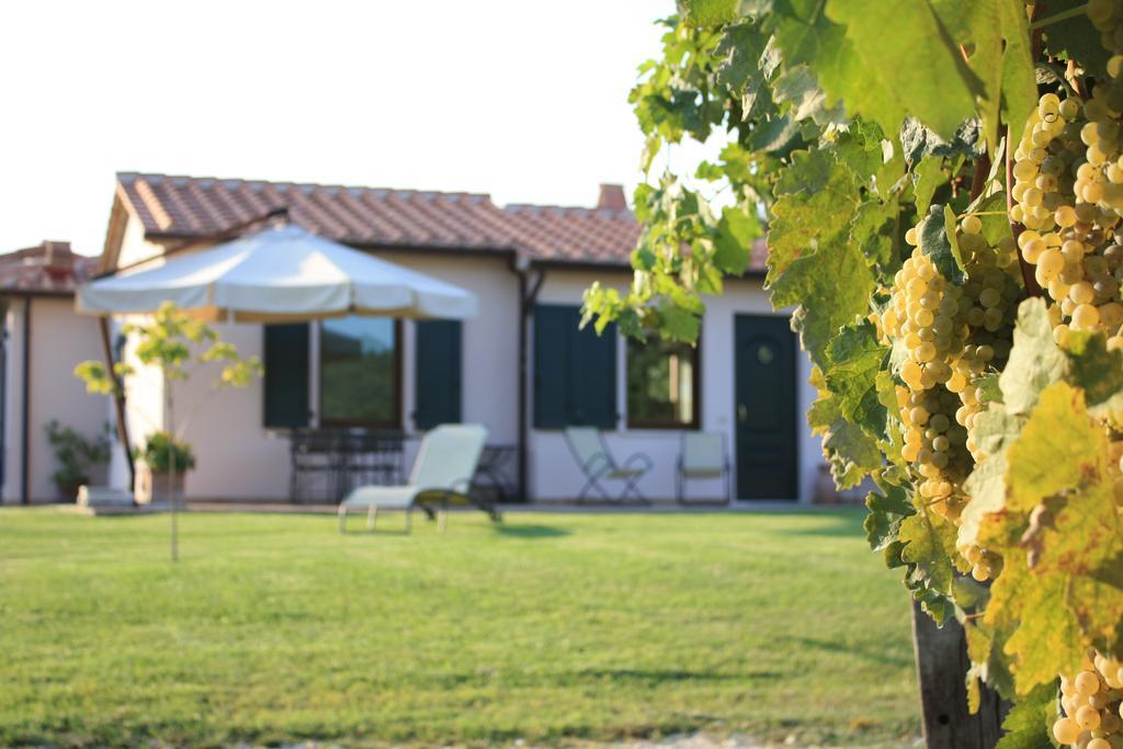 I Sicomori - Seme Di Carota - Glamping E Appartamenti Con Piscina A Saturnia Exteriér fotografie